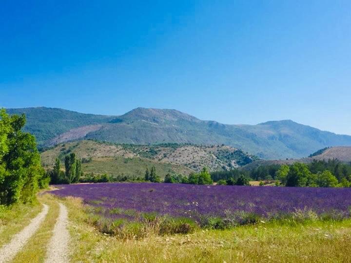 Le Moulin De La Viorne, Gite Avec Piscine Au Coeur De La Nature En Haute-Provence Les Omergues Екстер'єр фото