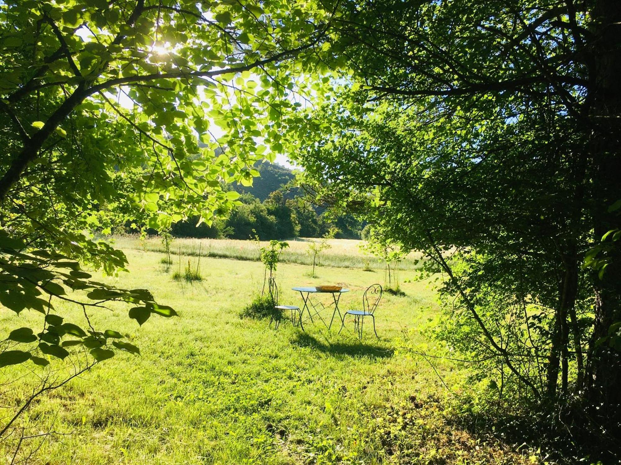 Le Moulin De La Viorne, Gite Avec Piscine Au Coeur De La Nature En Haute-Provence Les Omergues Екстер'єр фото