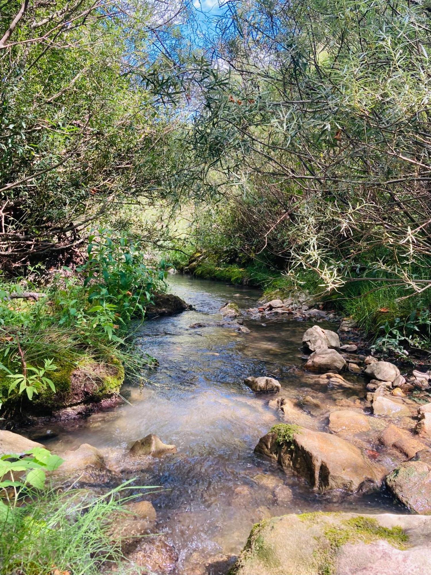 Le Moulin De La Viorne, Gite Avec Piscine Au Coeur De La Nature En Haute-Provence Les Omergues Екстер'єр фото
